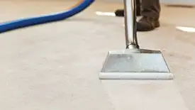 Carpet cleaning wand head gliding over a light carpet during hot-water extraction, Hollywood, FL.