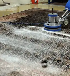 Professional rug cleaning with a rotary floor machine and shampoo foam, deep-cleaning an area rug Hollywood, FL.
